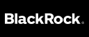 BlackRock Holdco 2 logo