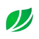 Fibria Celulose logo